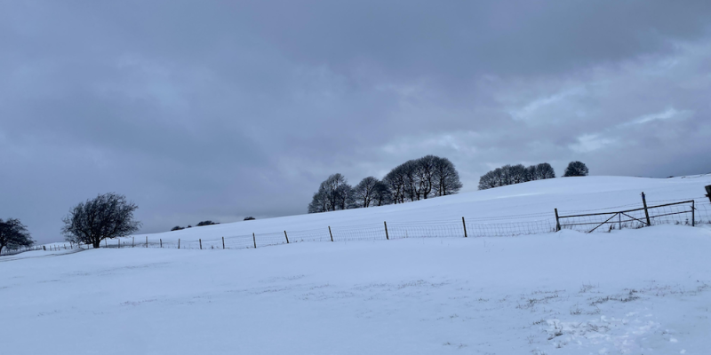 A field covered in snow