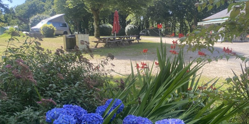 View of the campsite showing hydrangeas in flower, picnic benches and a camping car